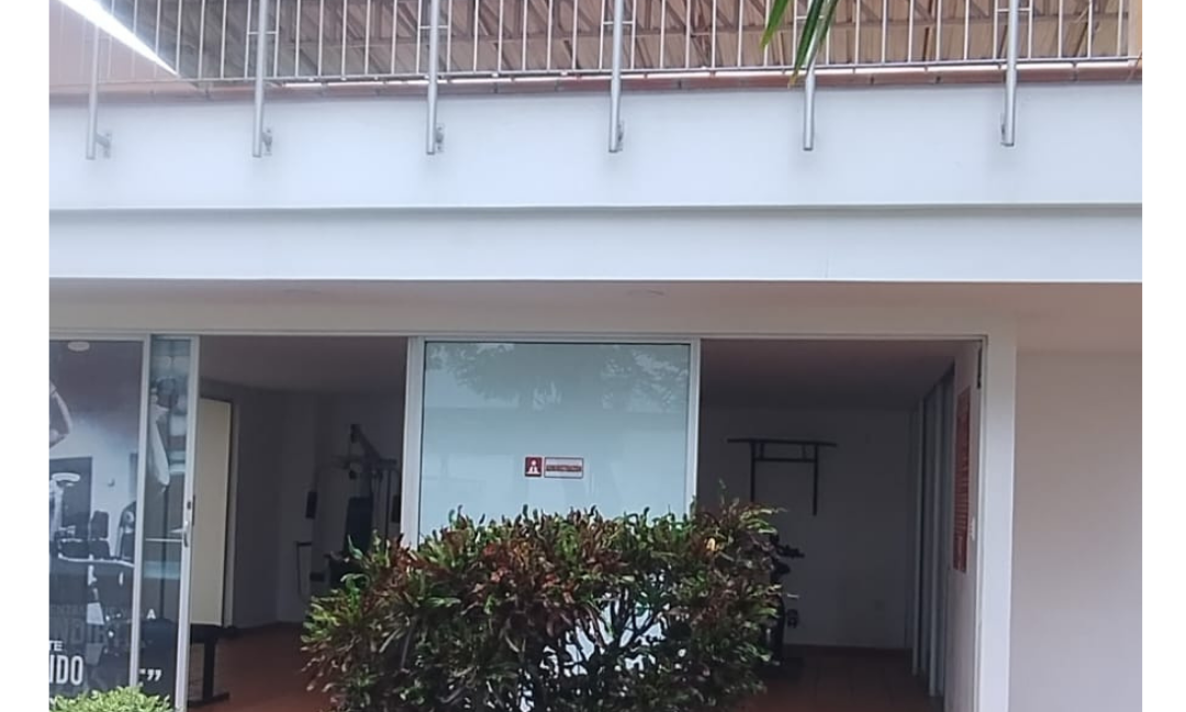 241