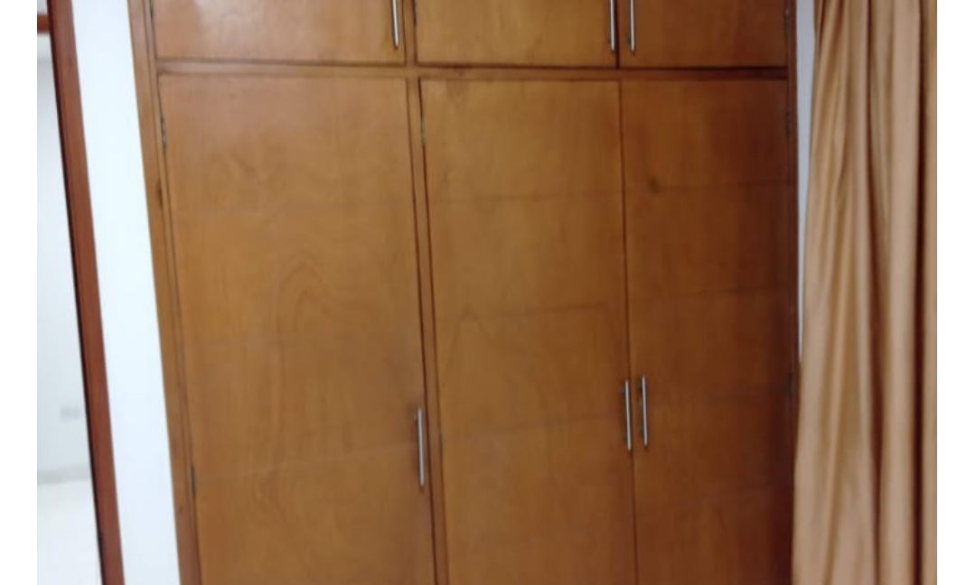 81