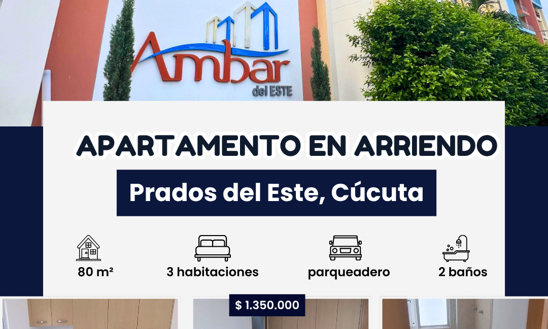 INMUEBLES CASAS (64)