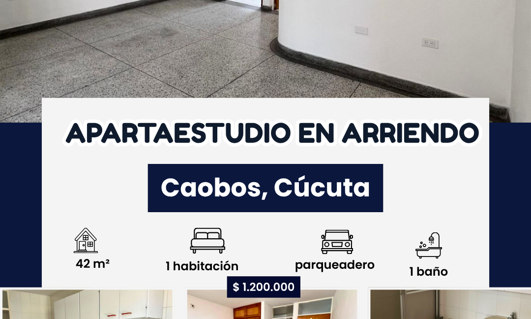 INMUEBLES CASAS (36)
