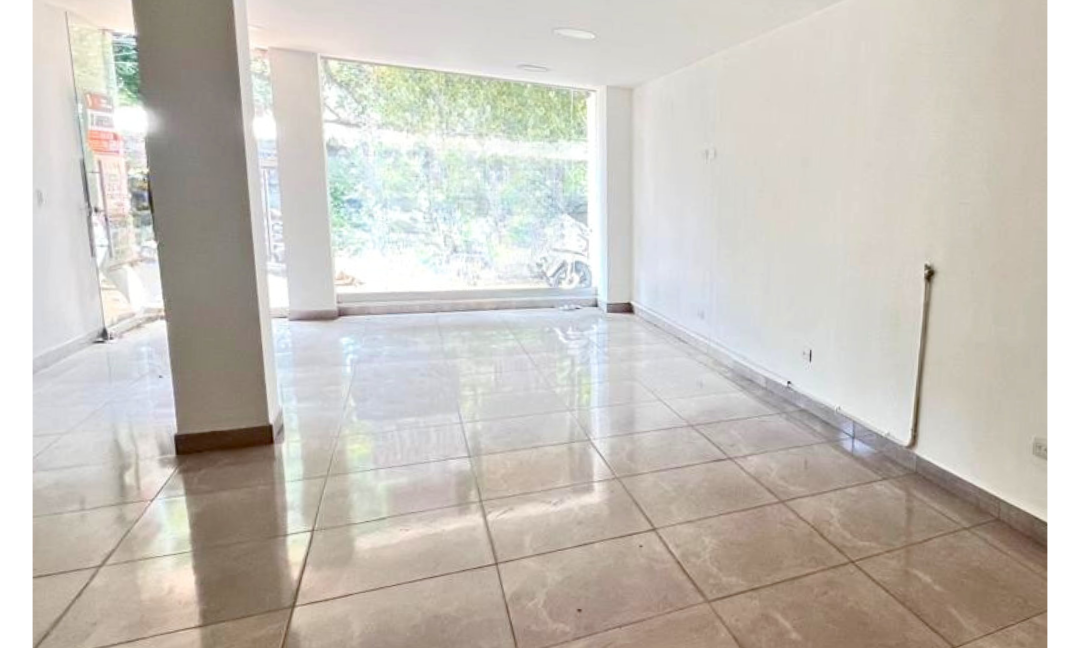 INMUEBLES CASAS (38)