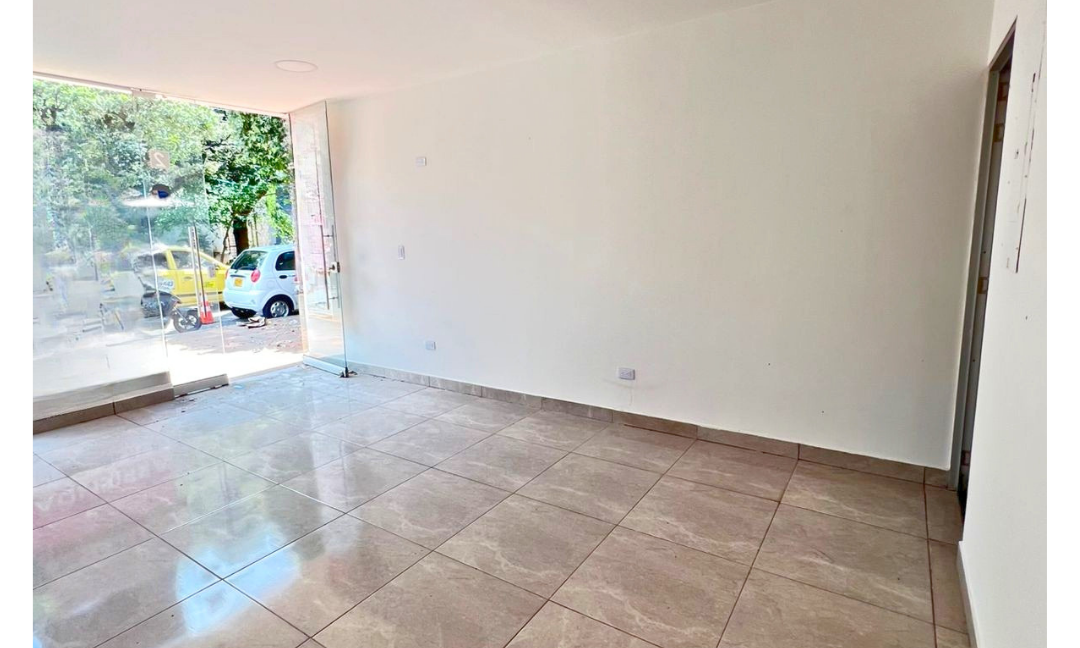 INMUEBLES CASAS (41)