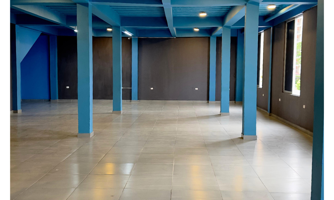 INMUEBLES CASAS (54)