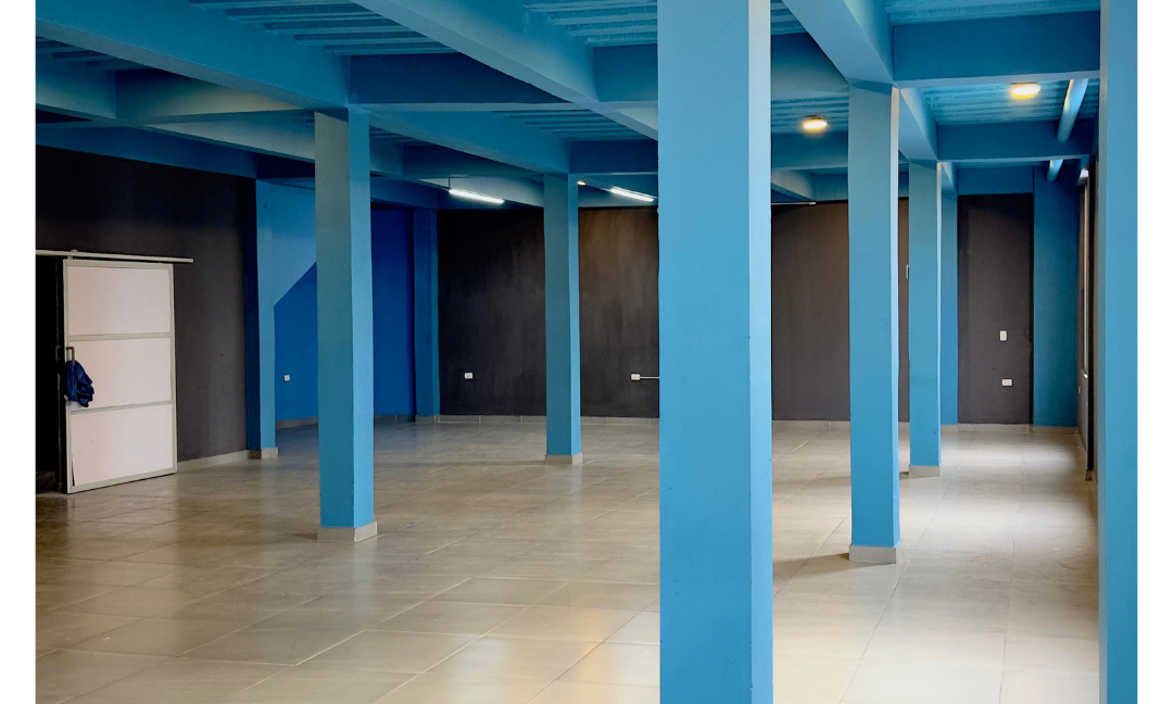 INMUEBLES CASAS (55)