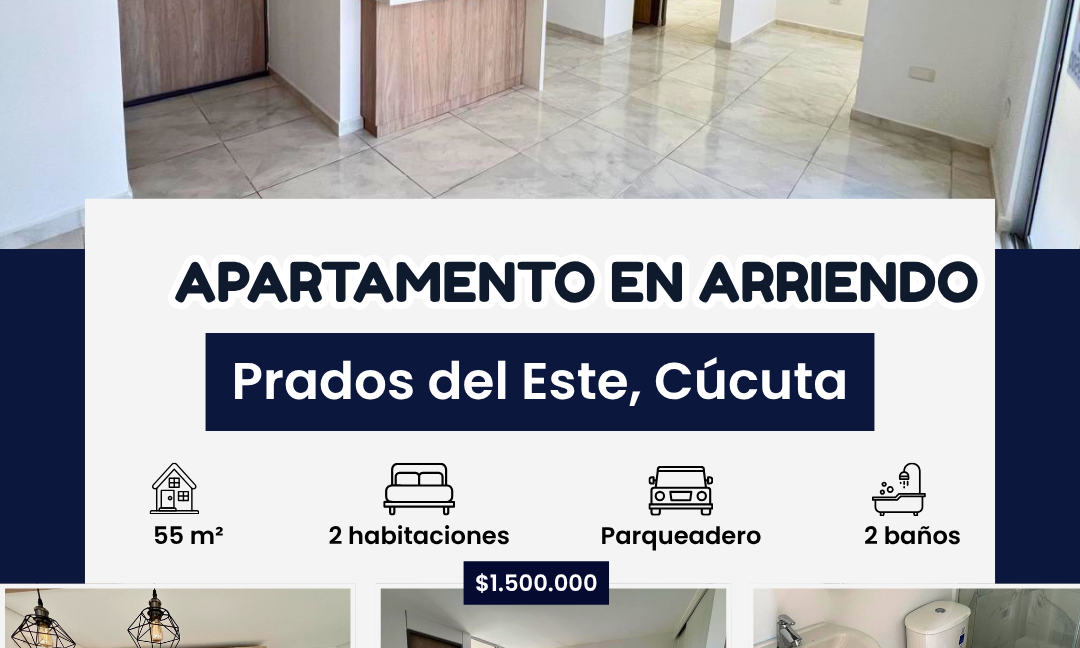 INMUEBLES CASAS (61)