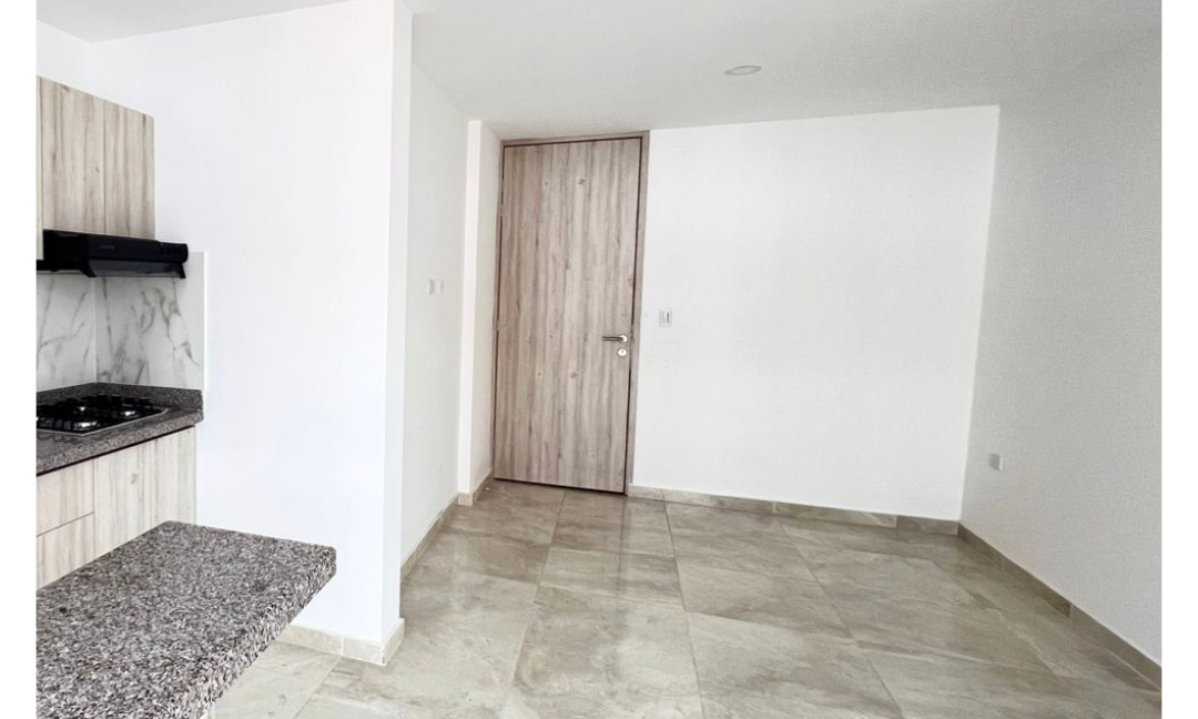 INMUEBLES CASAS (63)