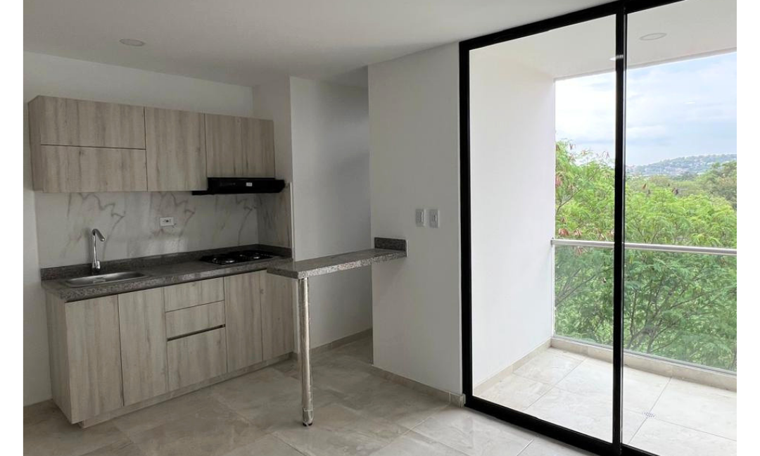 INMUEBLES CASAS (66)