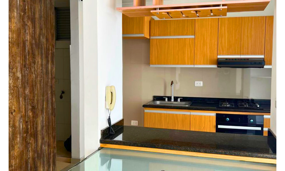 INMUEBLES CASAS (100)