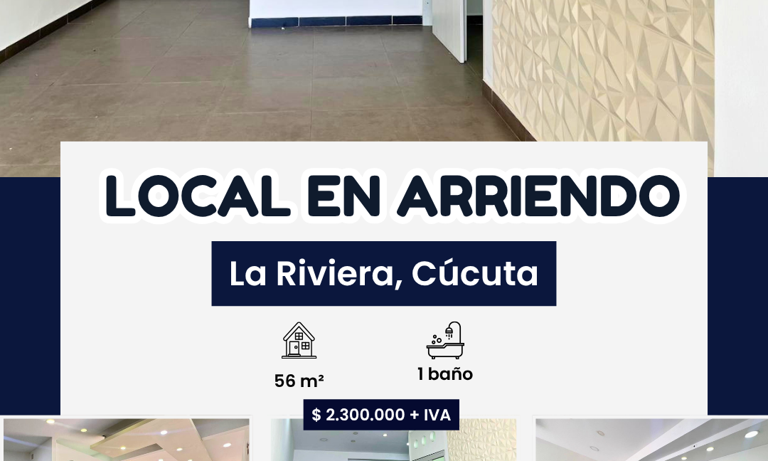 INMUEBLES CASAS (85)