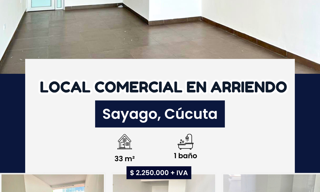 INMUEBLES CASAS (85)