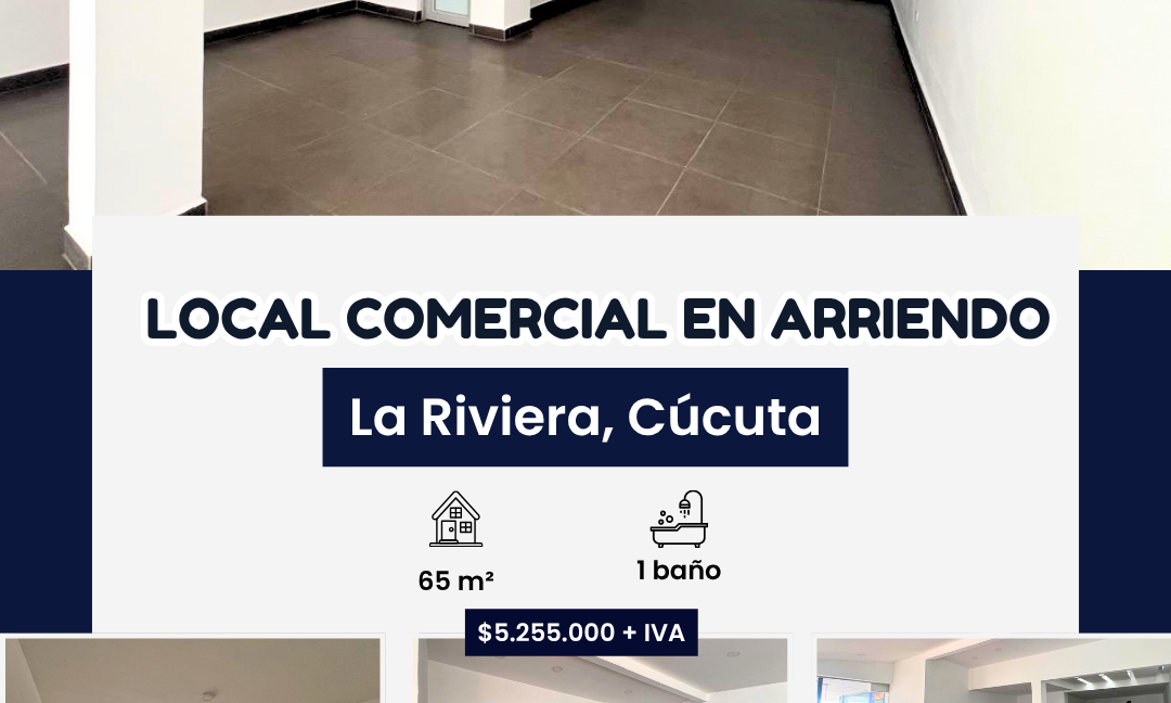 INMUEBLES CASAS (85)