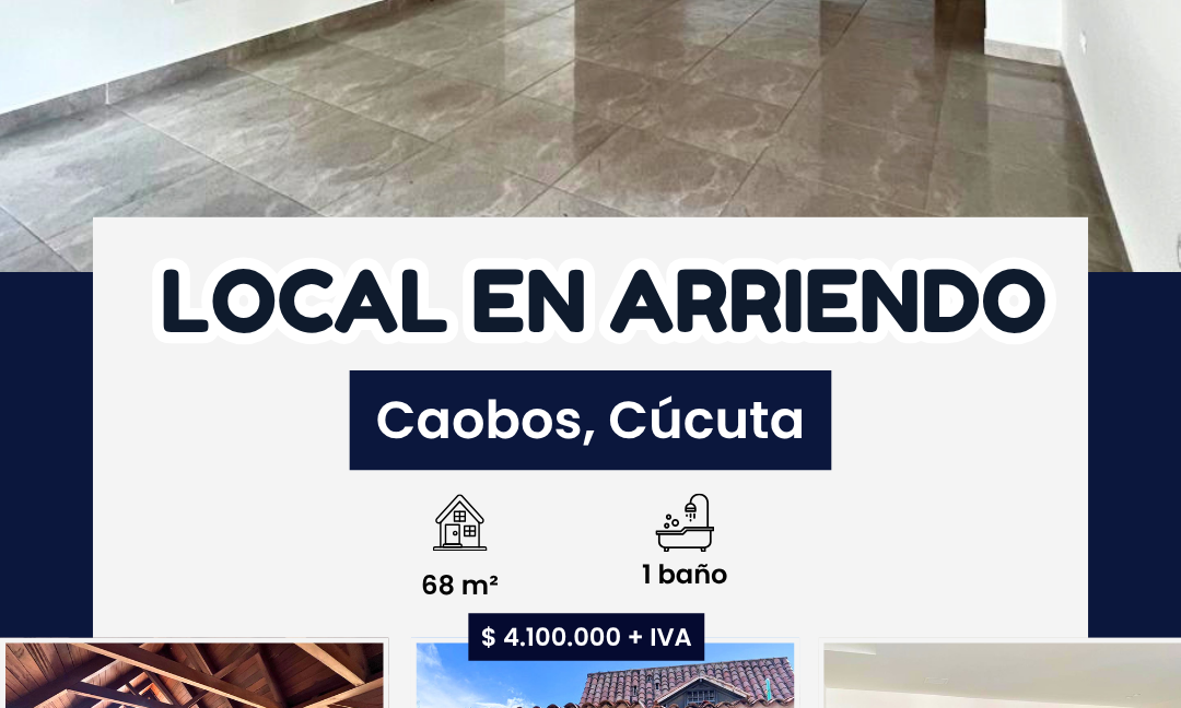 INMUEBLES CASAS (85)