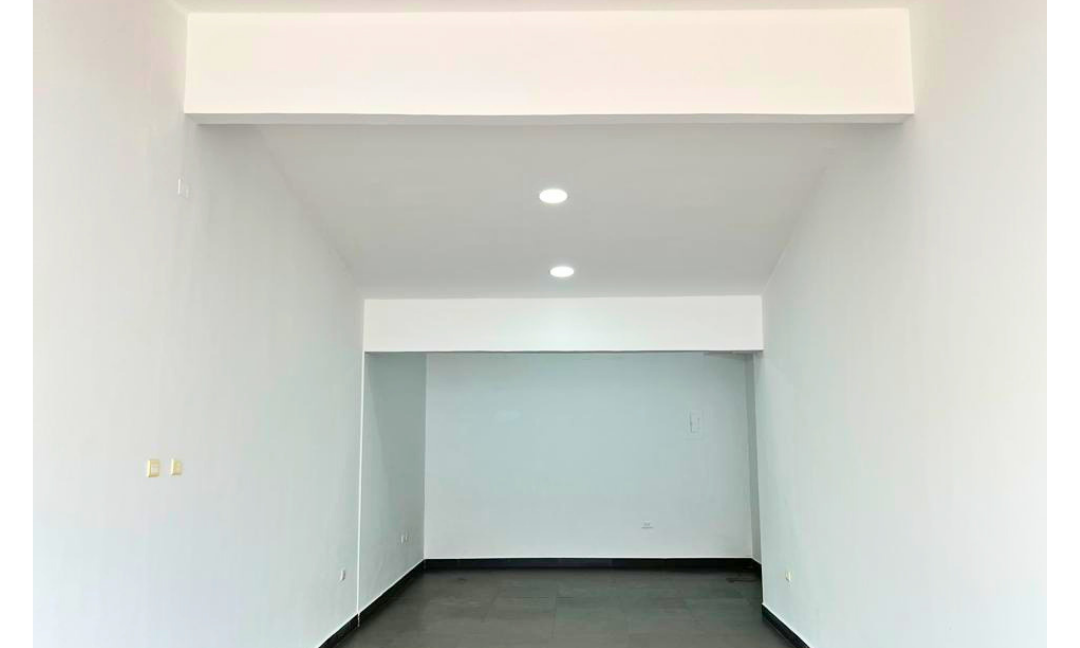 INMUEBLES CASAS (86)