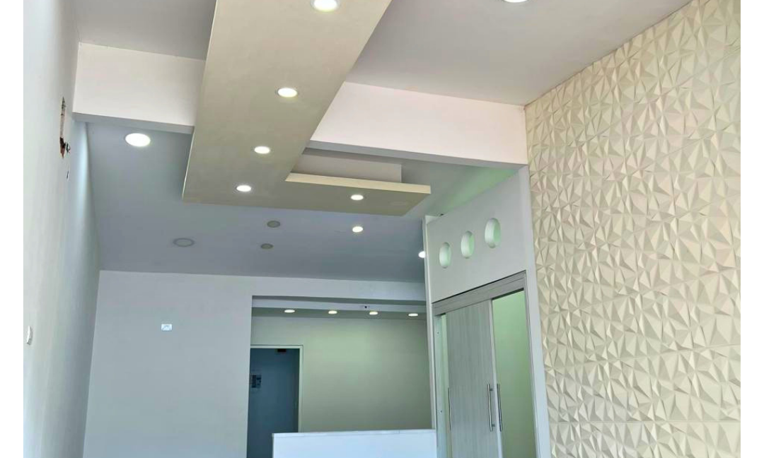 INMUEBLES CASAS (86)