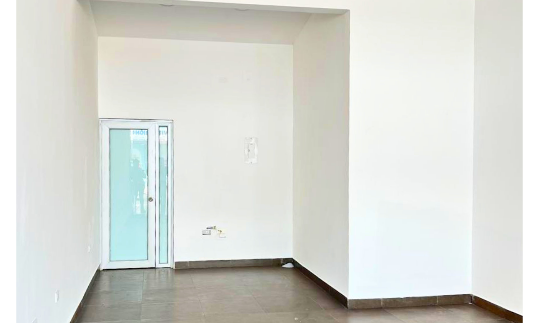 INMUEBLES CASAS (86)