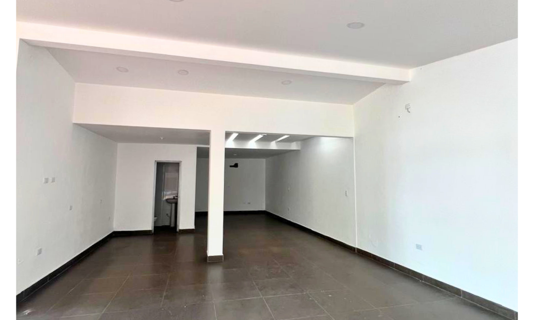 INMUEBLES CASAS (86)