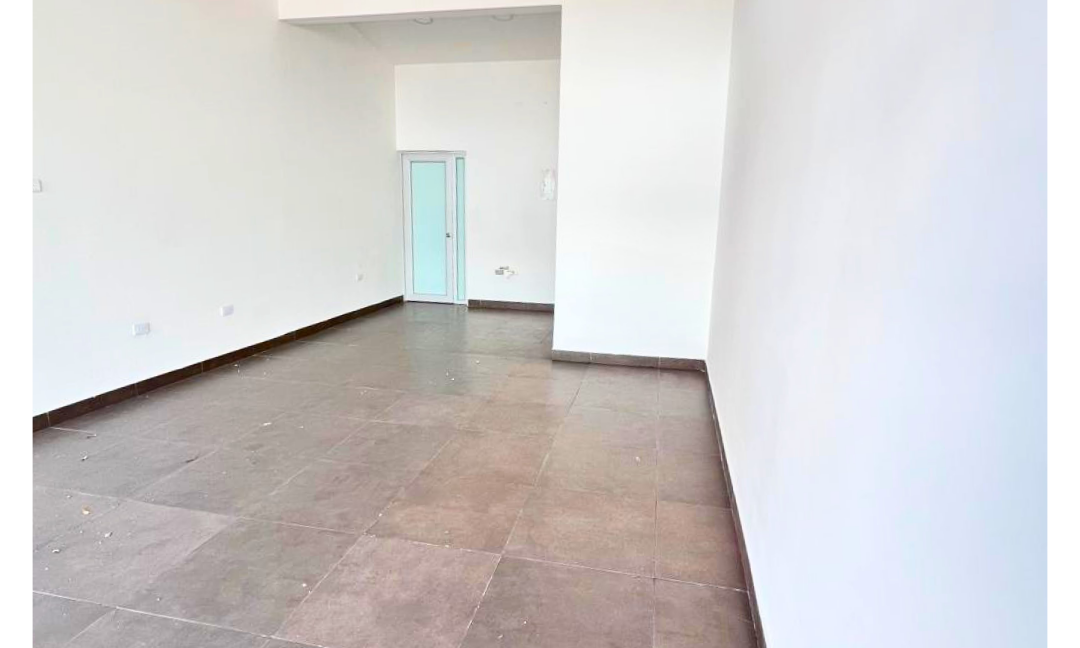 INMUEBLES CASAS (87)