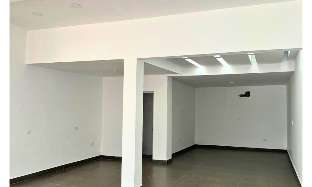 INMUEBLES CASAS (87)