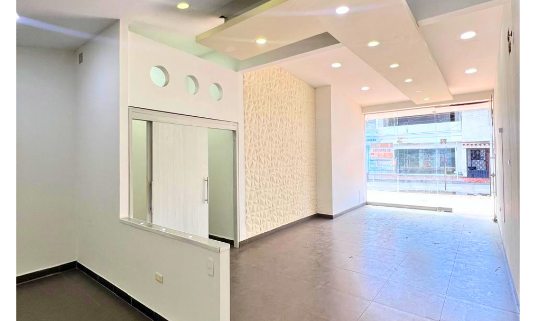 INMUEBLES CASAS (88)