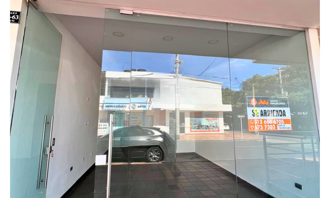 INMUEBLES CASAS (88)