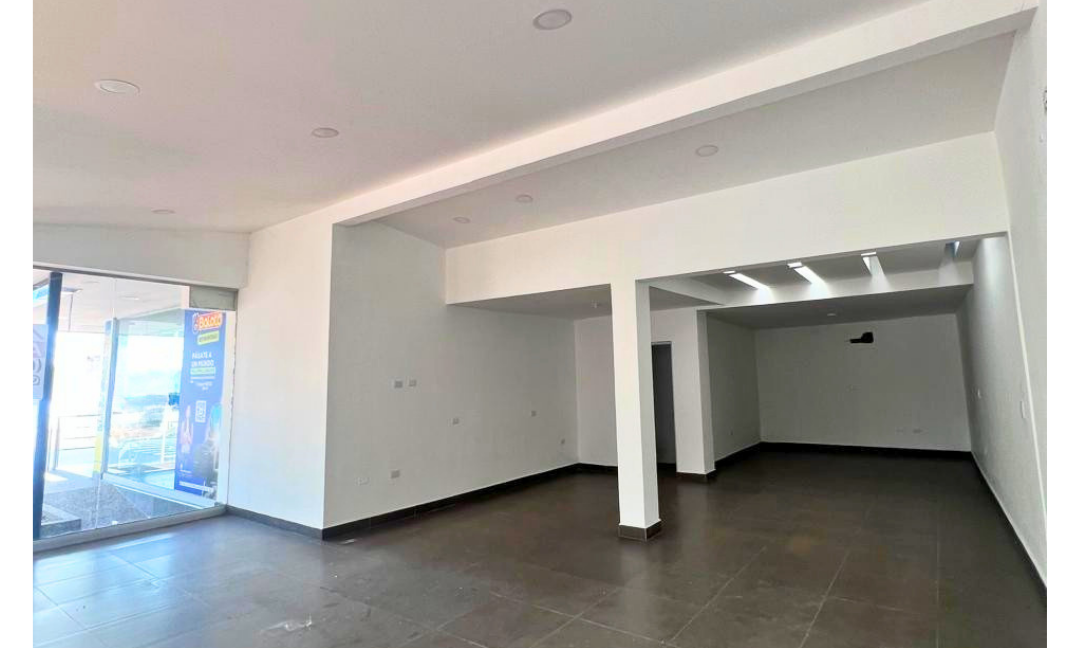 INMUEBLES CASAS (89)