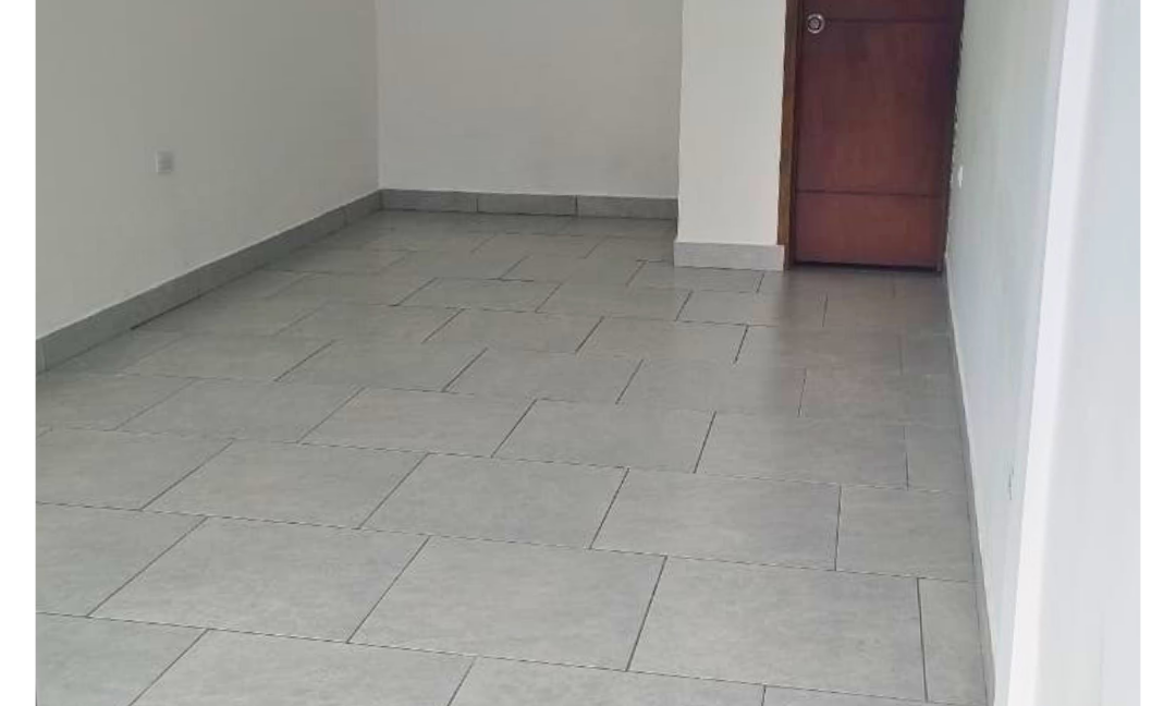 INMUEBLES CASAS (90)