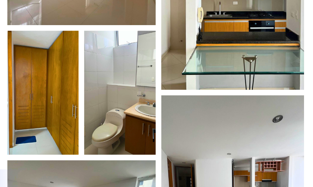 INMUEBLES CASAS (98)